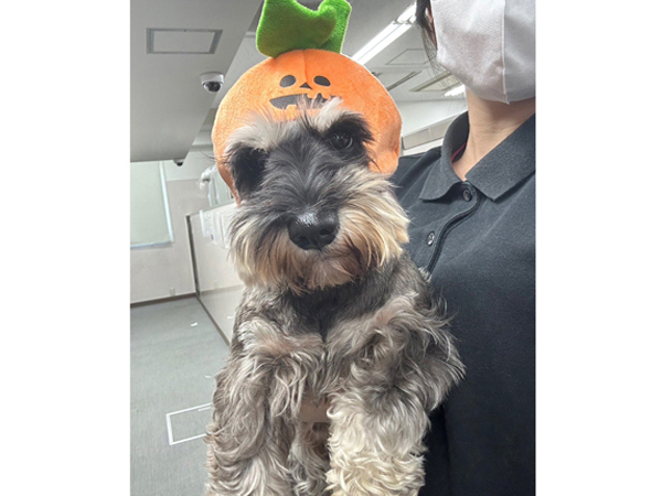 生徒が撮影したモデル犬♪～PART①～